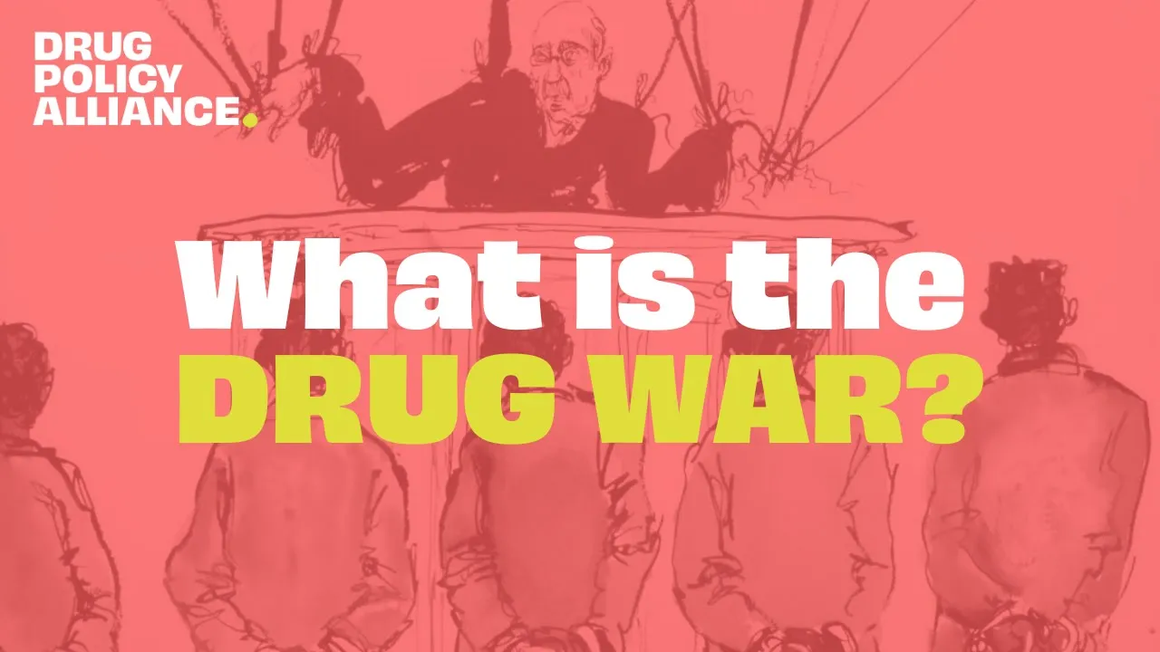 What is the Drug War? With Jay-Z & Molly Crabapple