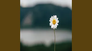 بوزلف جعلاني 