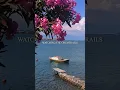Download Lagu Lana del rey - You're in the wind l am in the water {Lyrics edit} #relaxing #aesthetic #edit