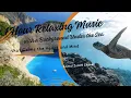 Download Lagu Musik 1 Jam Rileksasi dengan Latar Belakang Bawah Dasar Laut yang Menenangkan Hati dan Pikiran