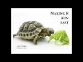Making R run Fast - Jan Vitek