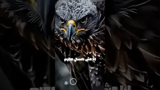 انا مش نانسي عجرم عشان اطبطب و ادلع اكسبلور خواطر تصميمي اقتباسات كلام من ذهب تصميم فيديوهات  انا مش نانسي عجرم عشان اطبطب و ادلع اكسبلور خواطر تصميمي اقتباسات كلام من ذهب تصميم فيديوهات