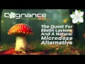 Cognance - Bacopa Reimagined The Quest For Ebelin Lactone And A Natural Microdose Alternative