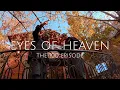Lagu DJ Phellix \u0026 Seventh Soul — Indie Dance \u0026 Afro House \u0026 Melodic Techno Live Set -Eyes Of Heaven EP100