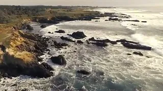 شعر ياللي معاك المال دندنها