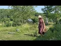Download Lagu A slow life in the countryside of France 