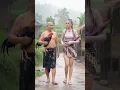 Download Lagu Enjoying the Rain in the Village, Bringing Home Nature's Harvest #villagelife #heavyrain #asmr