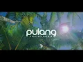 Download Lagu Dj Slow - Pulang ( Andi Arfck Remix ) Slow Remix