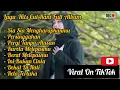 Download Lagu Sia Sia Mengharapkan cinta mu Cut Rani  Full Album Viral TikTok
