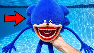I Found a Giant SHIN SONIC in My Pool!
