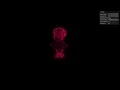 Web Interactive Particle Warp Simulation