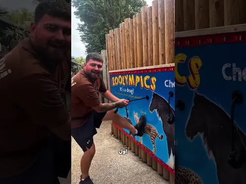 كسب الثعلب والقطة البرية… لكن الحصان وقّفه عند حده! 😳🐴💪