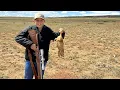 Not your Typical Family Vacation Prairie Dogs Fish and Steak Catch Cook