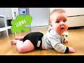 Download Lagu Funniest Baby Compilation Ever Recorded! - Funny Baby Videos