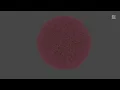 Infinite Grass Shader Using Compute Shaders