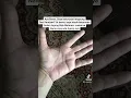 Download Lagu KATANYA KALAU MEMPUNYAI TANDA INI , KETURUNAN RAJA