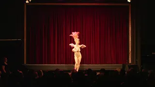 Miss Burlesque NSW 2019 Unique - Diesel Darling