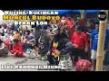 KUCING-KUCINGAN Live KAMPUNG UJUNG || JARANAN MUNCUL BUDOYO BERAN LOR ‼️