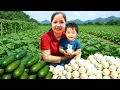 Download Lagu Colhendo mais de 1000+ Eggplant and Japanese Squash,Mãe E Filha Foram Despejadas De Casa