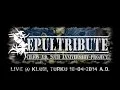 Download Lagu Sepultribute - Chaos A.D. 20th Anniversary Project - plays Sepultura