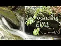 Introducing EVAL