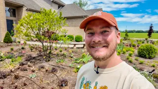 New Proven Winners Perennials for 2025 The Southerner s Northern Garden