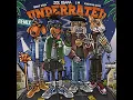 Underrated (Remix) (feat. MoneySign Suede) - Zoe Osama, Snoop Dogg & E-40