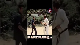                                 اسطورة الكونغ فو بروسلي            دندنها