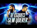 Te esqueci sem querer - Henrique e Juliano