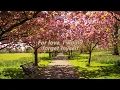 Liana Flores - Now and then (lyrics)
