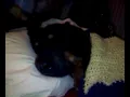 Radar Sleeps