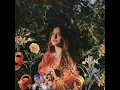 Tiger Lily