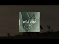 Troy Cartwright - Wild One (Audio)