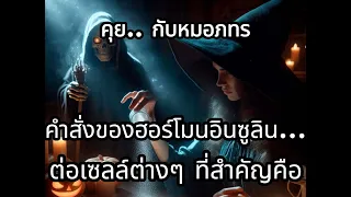 อินซูลินมีผลต่อการสะสมไขมันในร่างกายอย่างไร
