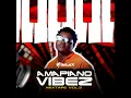 Lagu Dj Selex Amapiano Vibez Mixtape Vol 3