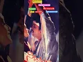 Download Lagu nirnayum Nagarjuna Telugu movie LP record for sale  music by Maestro ilaiyaraaja sing by SPB Janaki