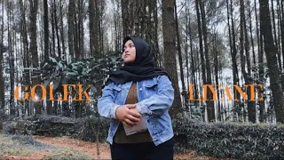 Download Golek Liyane - Putri Mayangsari MP3