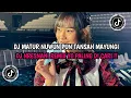 Download Lagu DJ MATUR NUWUN PUN TANSAH MAYUNGI PAS UDAN E TEKO || DJ NRESNANI REMIX YG PALING DICARI!!
