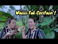 Download Lagu Tumis Pakis Hasil Petik Langsung Masak Dan Makan