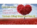 Download Lagu Nusrat Fateh Ali Khan: Tumhein Dillagi Bhool Jani Pare Gi (English translation + Lyrics)