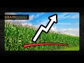 Did Corn Prices Just Bottom on a Friendly USDA Report Morocco Phosphate Duties Dropped
