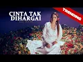 Download Lagu Amiy Molekk - Cinta Tak Dihargai (Lirik Video)
