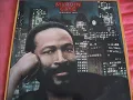 My Love is Waiting- Marvin Gaye