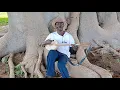 Download Lagu Frafra kologo with Azera Something. Ngmaa gee di.