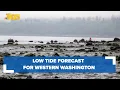 Low tide forecast for western Washington