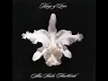 Kings of Leon - Pistol of Fire