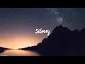 Novo Amor \u0026 Ed Tullett - Silvery (Lyrics)