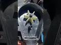 Summer wave pool bypass pump