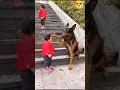 Download Lagu The Cutest Babysitter Ever! 🐶👶#baby #dog