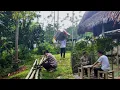 Download Lagu The village chief gave a mattress to Tieu Yen and revealed what?_Ly Tieu Yen
